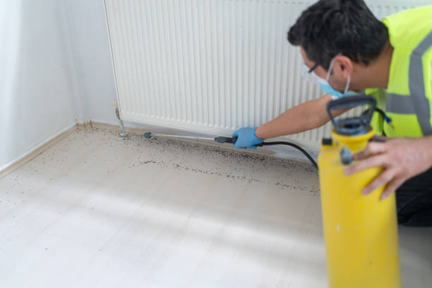 Best Pest Inspection Near Me  in Kennett, MO